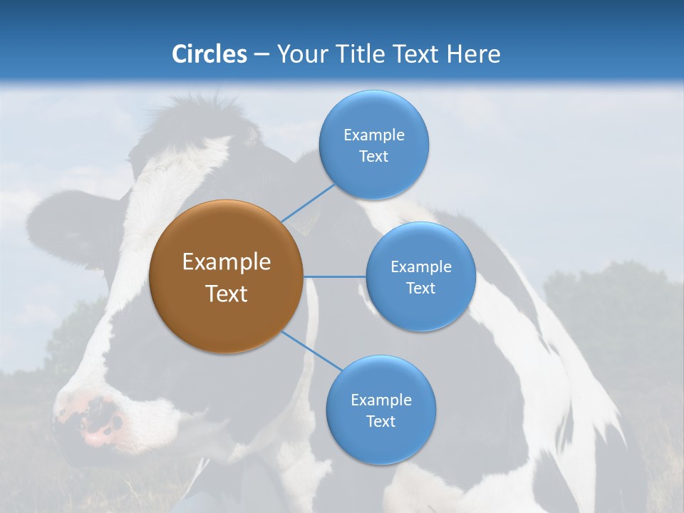 White Head Standing PowerPoint Template