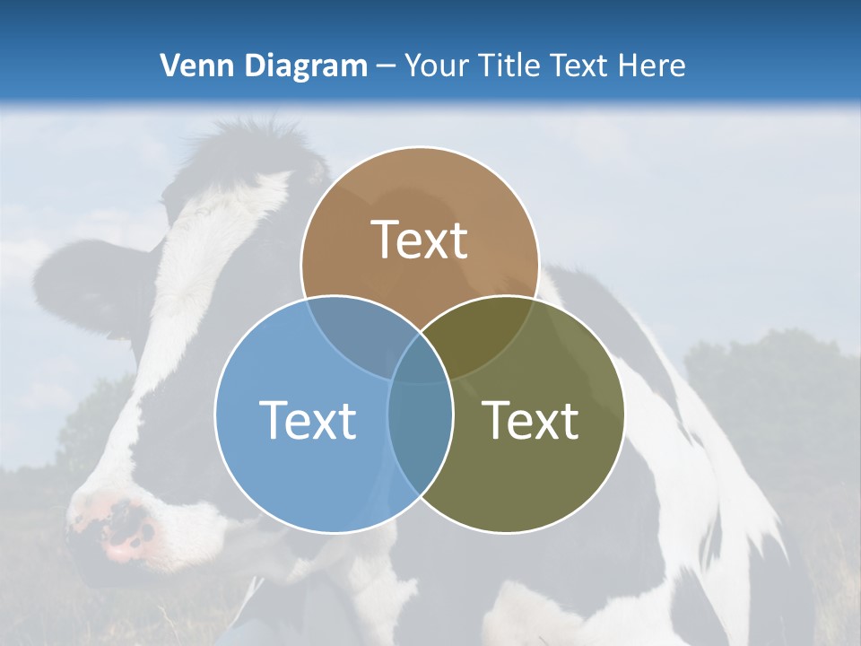 White Head Standing PowerPoint Template