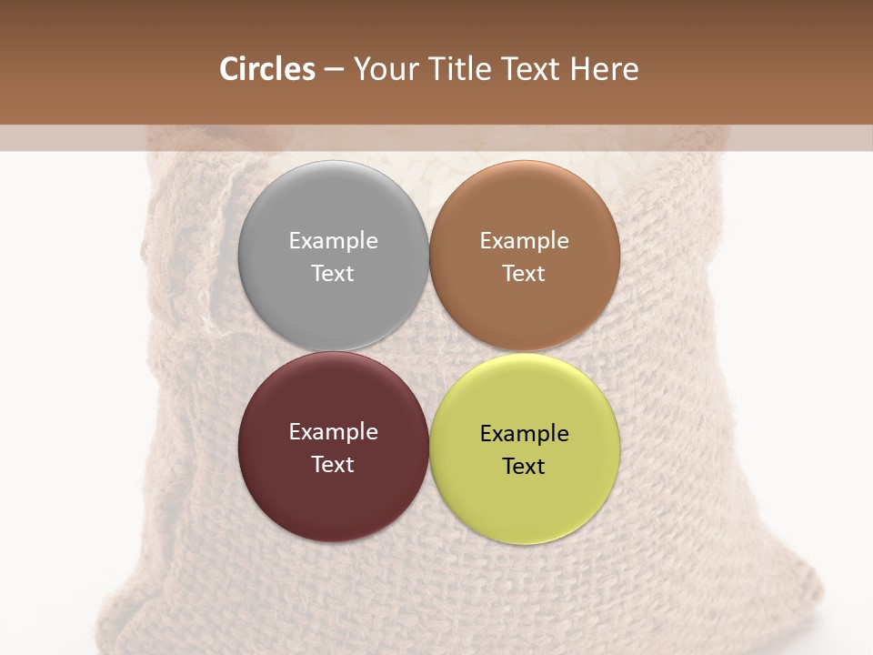 Rice Starch PowerPoint Template