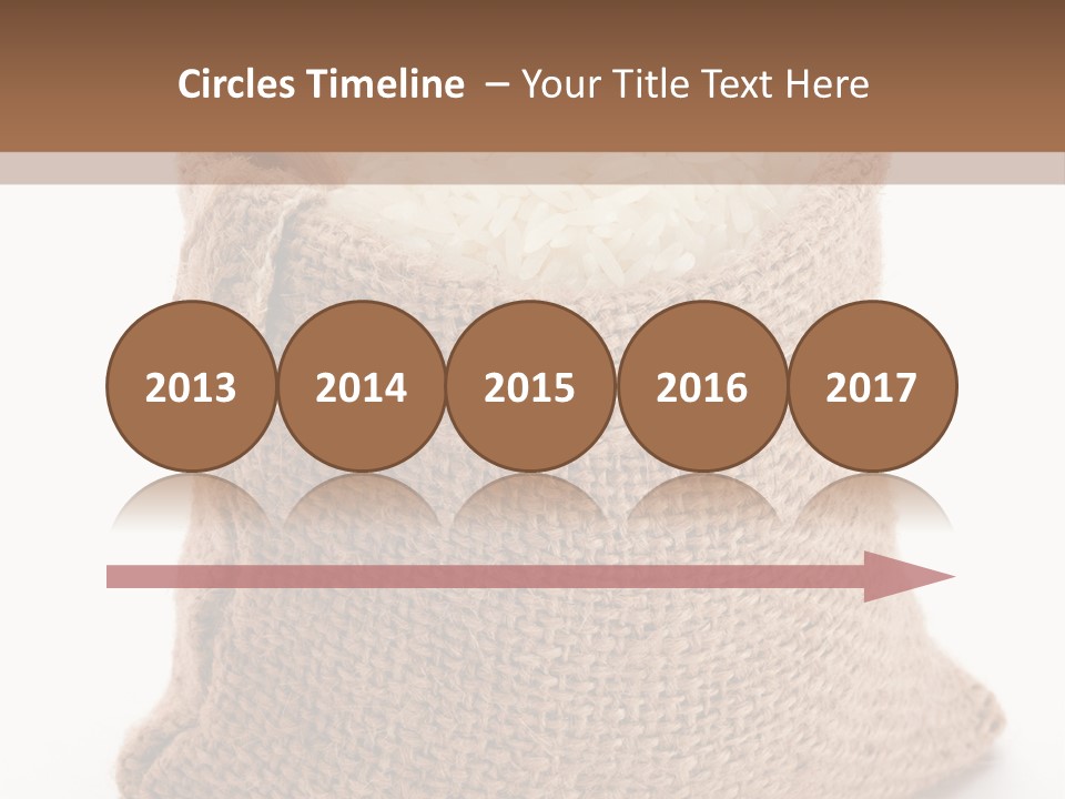 Rice Starch PowerPoint Template