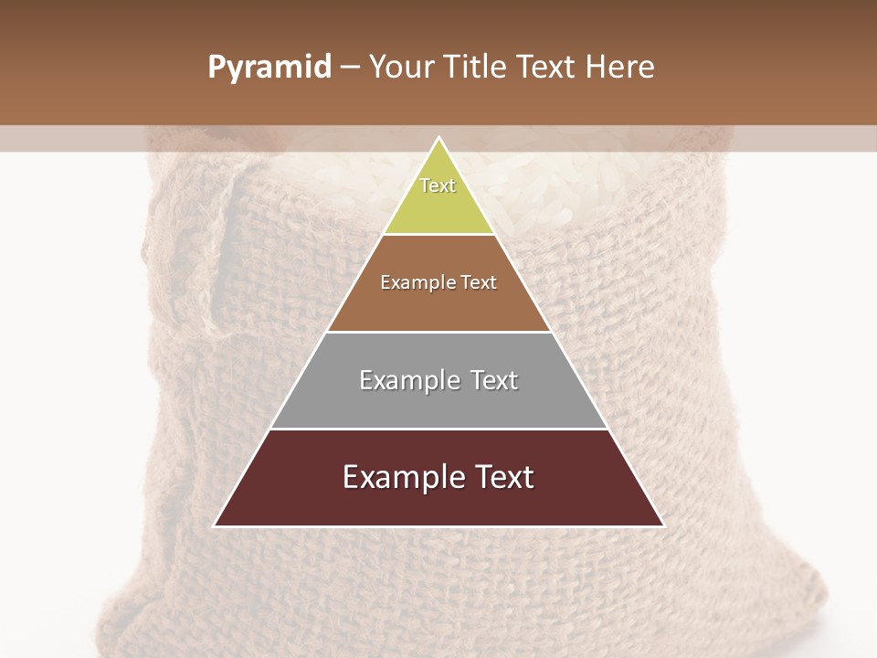 Rice Starch PowerPoint Template