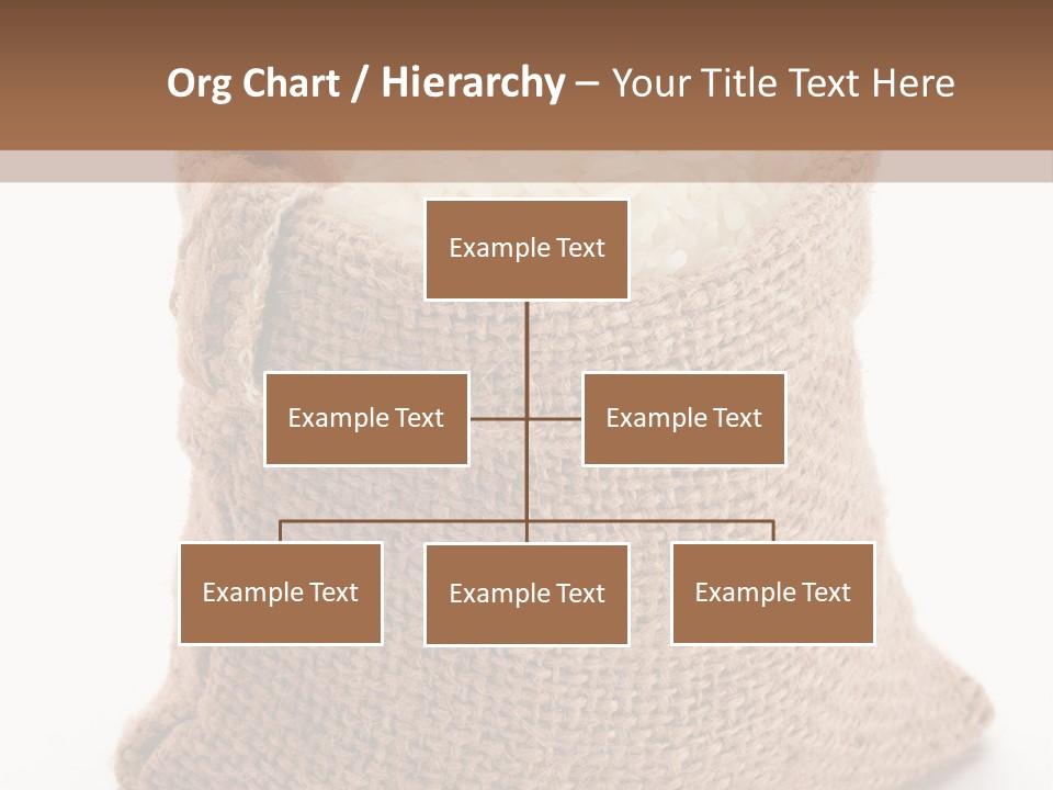 Rice Starch PowerPoint Template