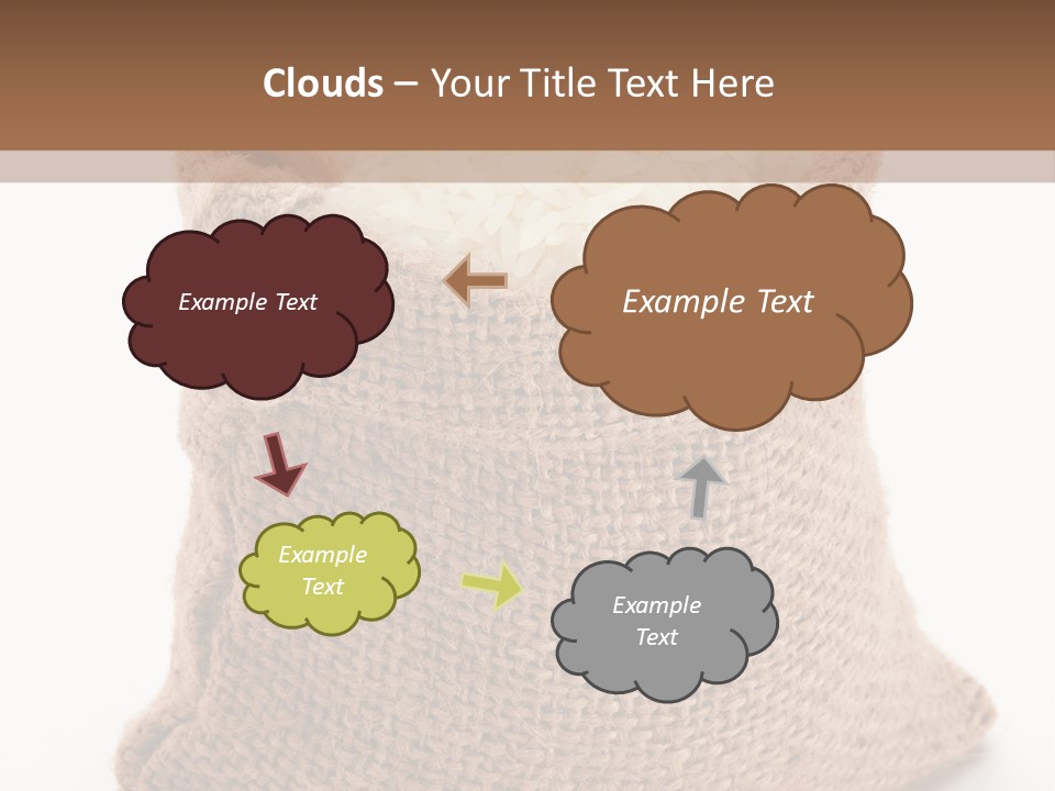 Rice Starch PowerPoint Template