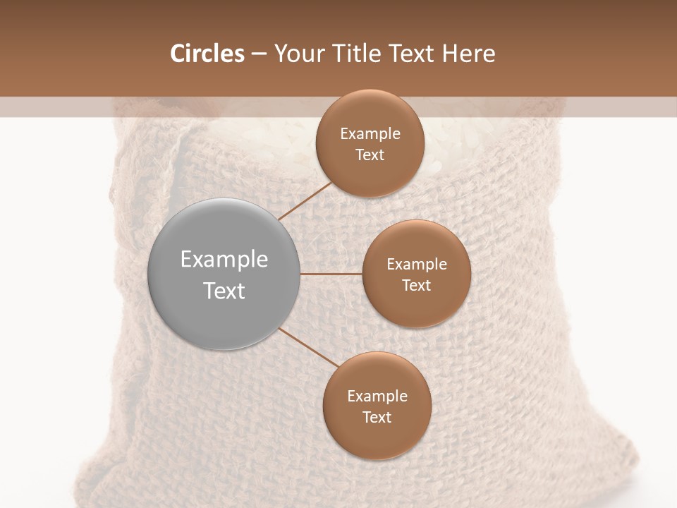 Rice Starch PowerPoint Template