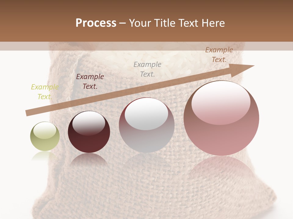 Rice Starch PowerPoint Template