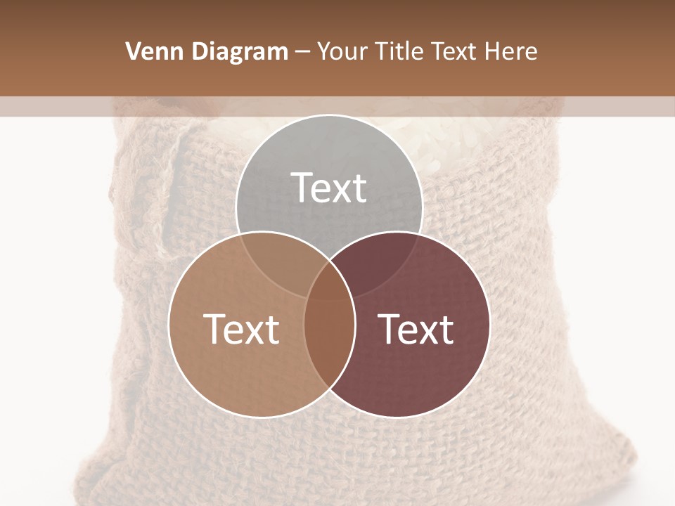 Rice Starch PowerPoint Template