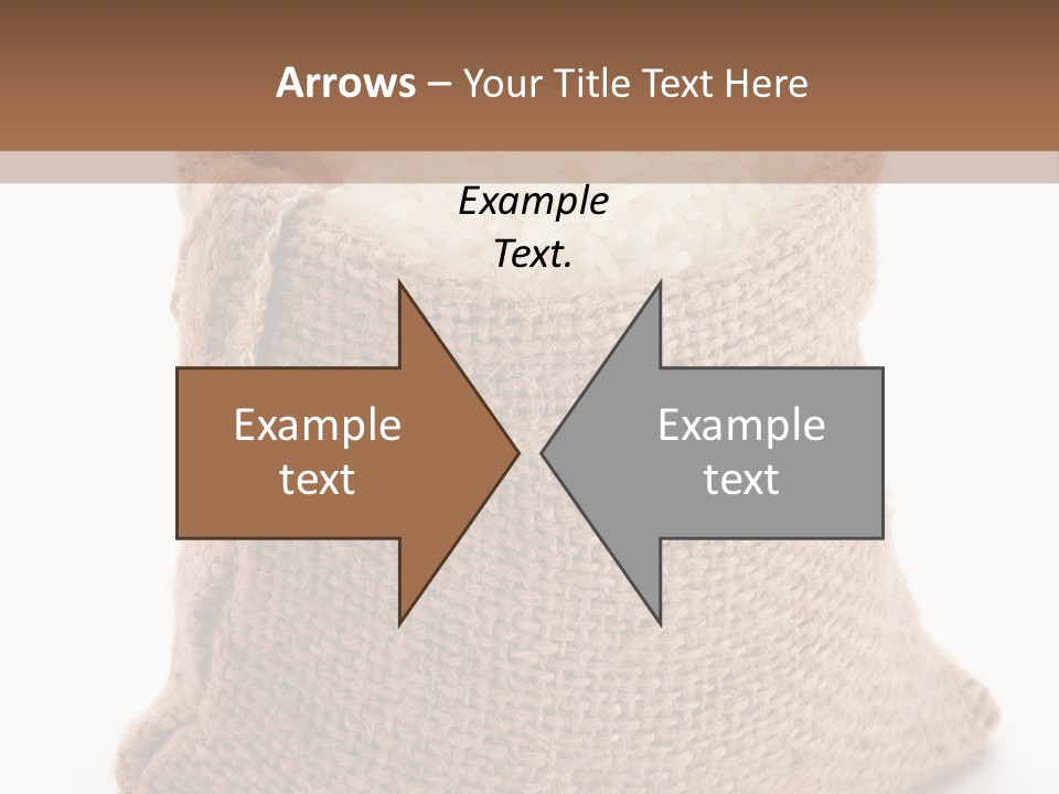 Rice Starch PowerPoint Template