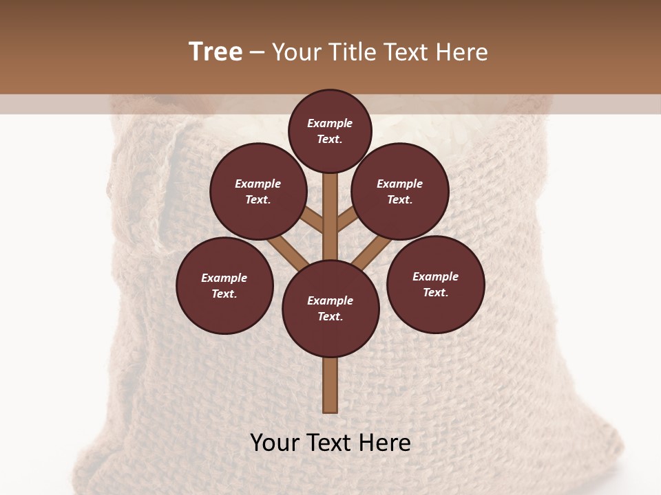 Rice Starch PowerPoint Template