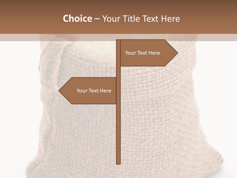 Rice Starch PowerPoint Template