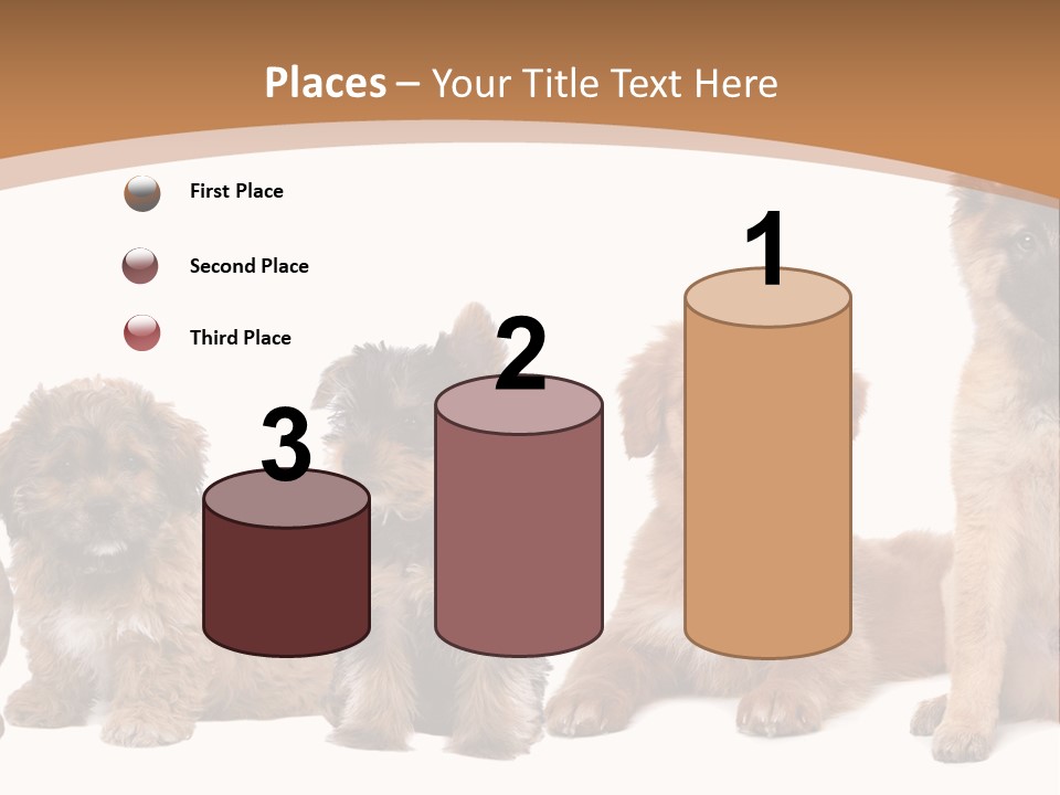 Group Of Puppies PowerPoint Template