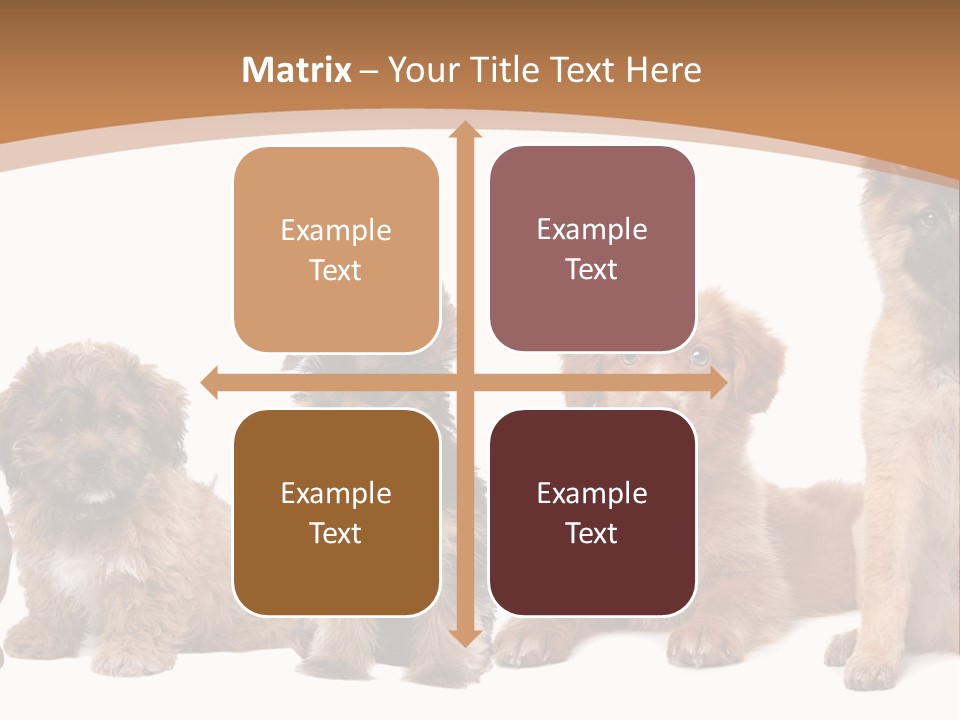 Group Of Puppies PowerPoint Template