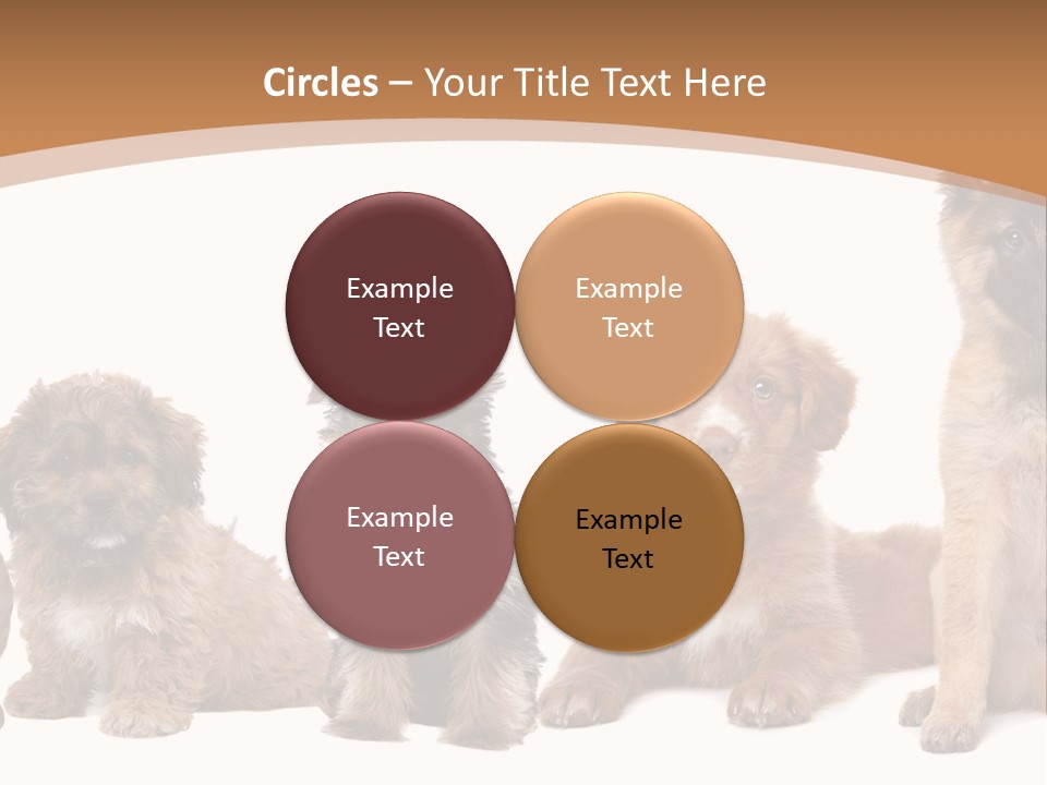Group Of Puppies PowerPoint Template