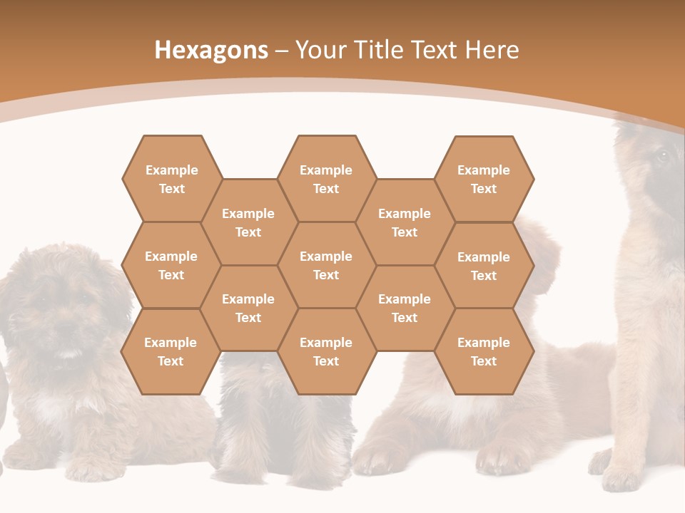 Group Of Puppies PowerPoint Template