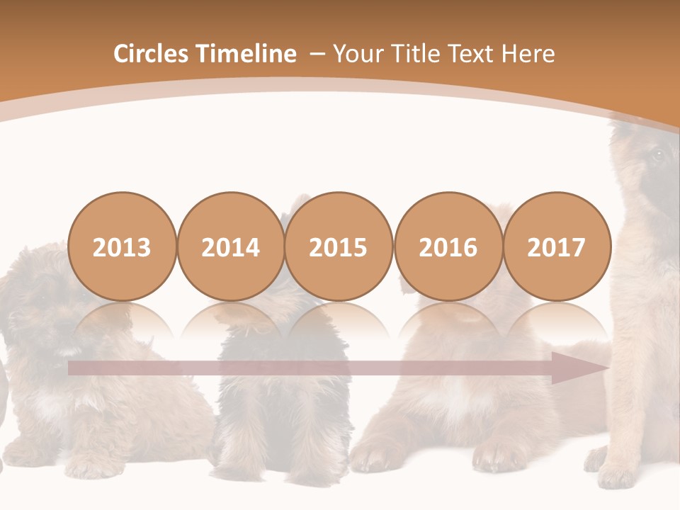 Group Of Puppies PowerPoint Template