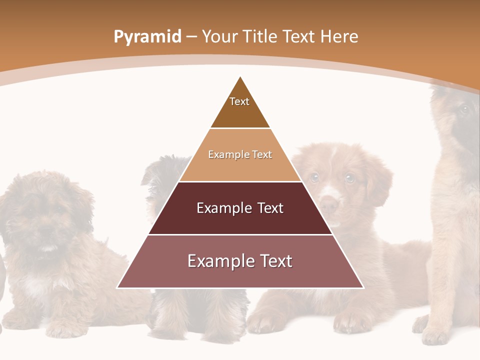 Group Of Puppies PowerPoint Template
