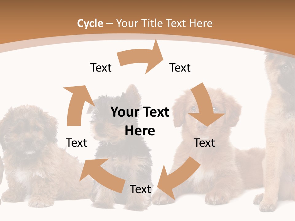 Group Of Puppies PowerPoint Template
