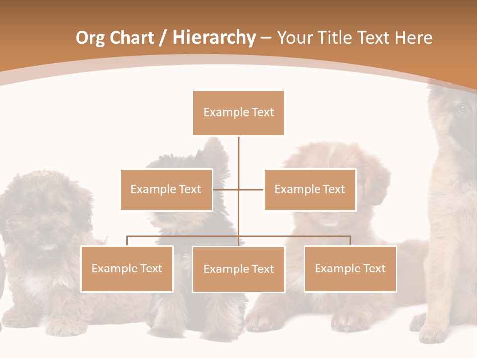 Group Of Puppies PowerPoint Template