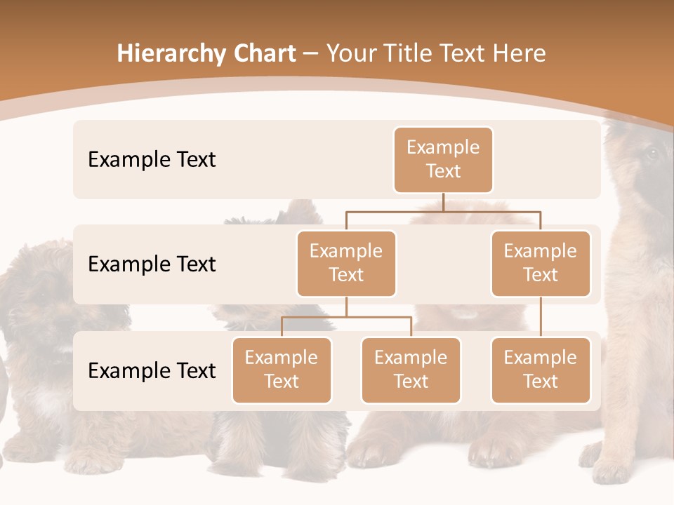 Group Of Puppies PowerPoint Template