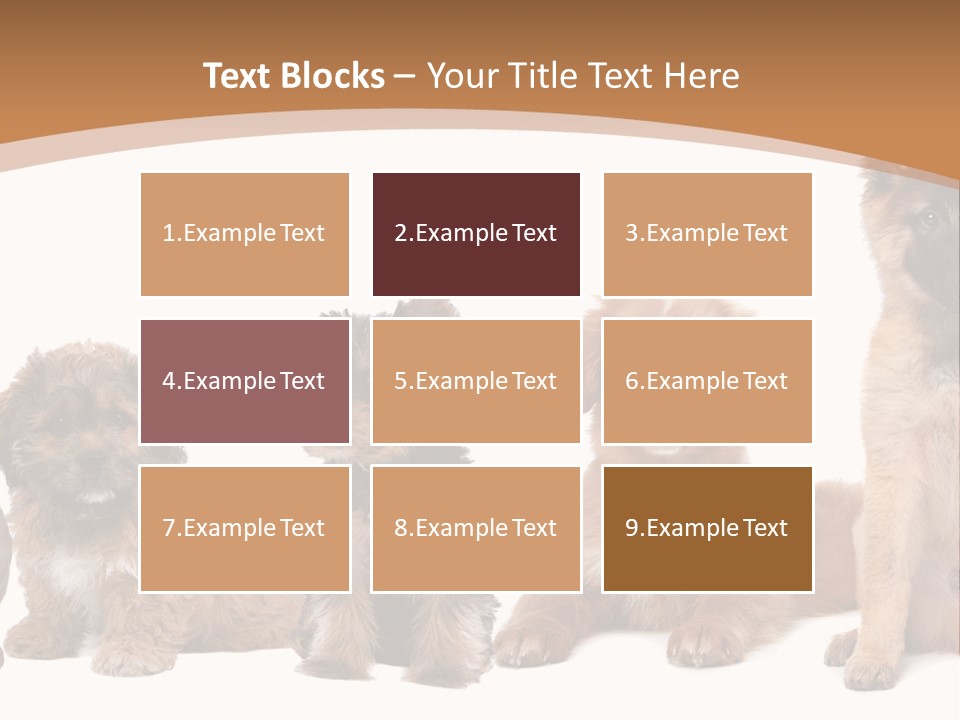 Group Of Puppies PowerPoint Template