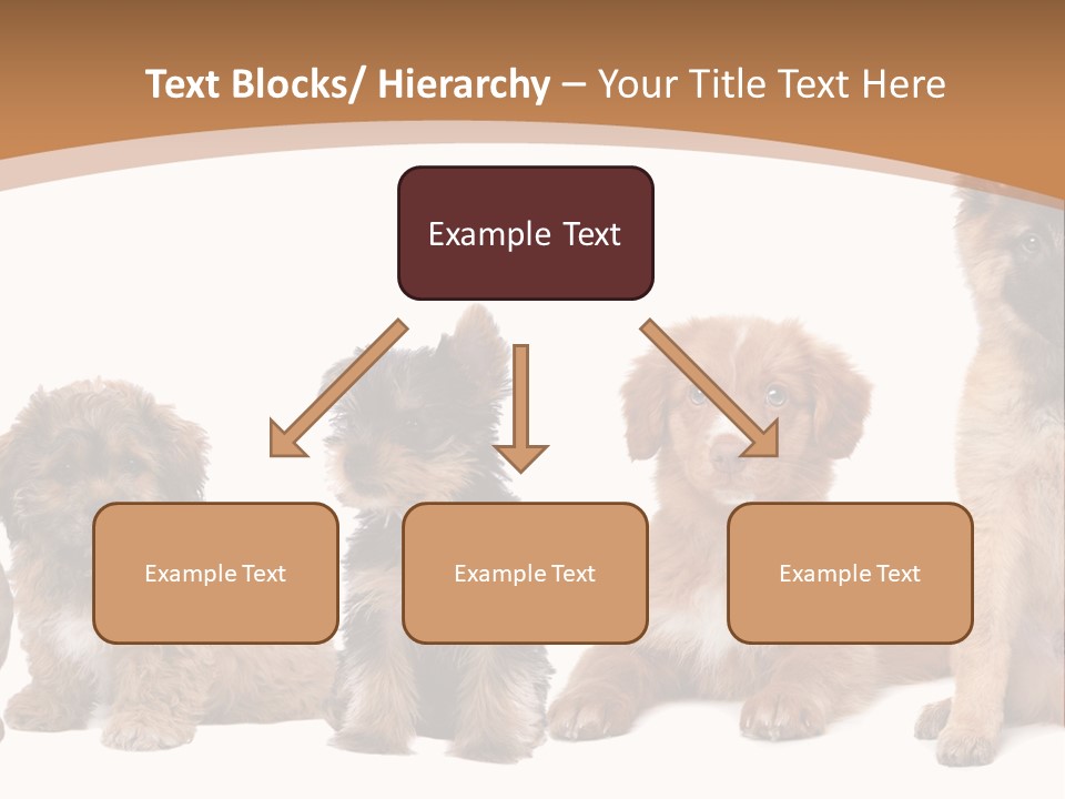 Group Of Puppies PowerPoint Template