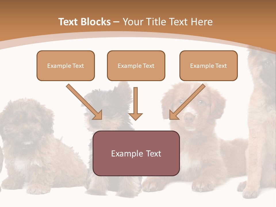 Group Of Puppies PowerPoint Template