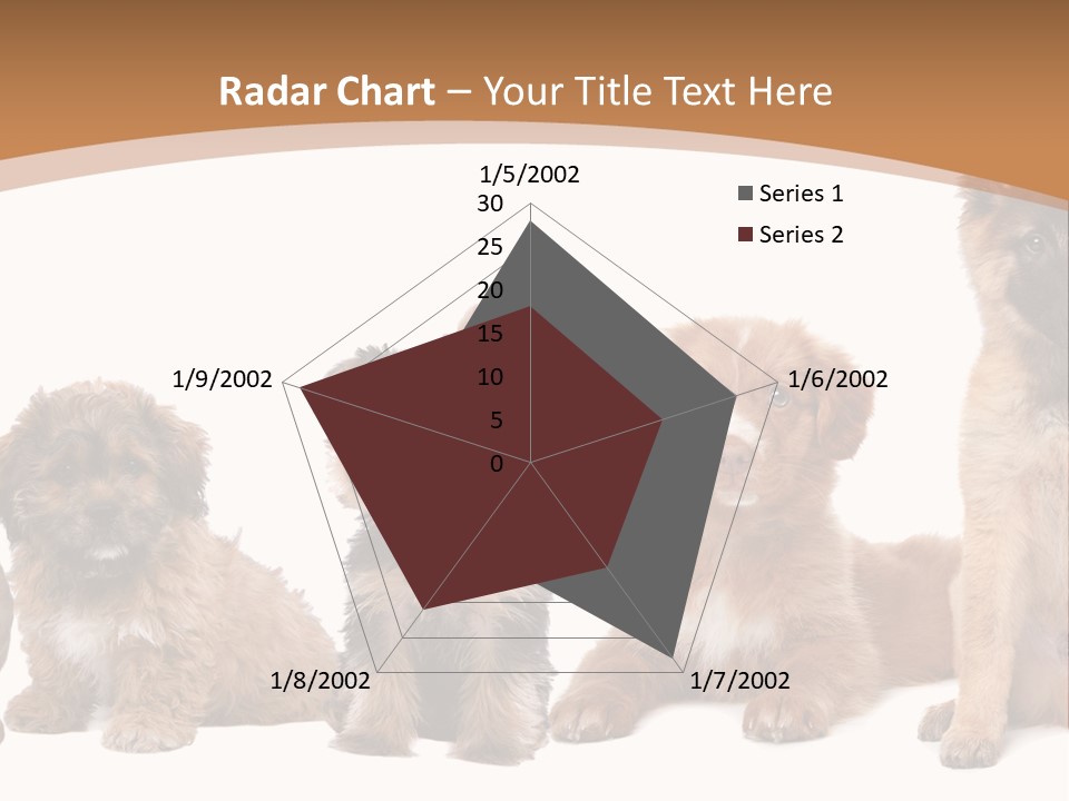 Group Of Puppies PowerPoint Template