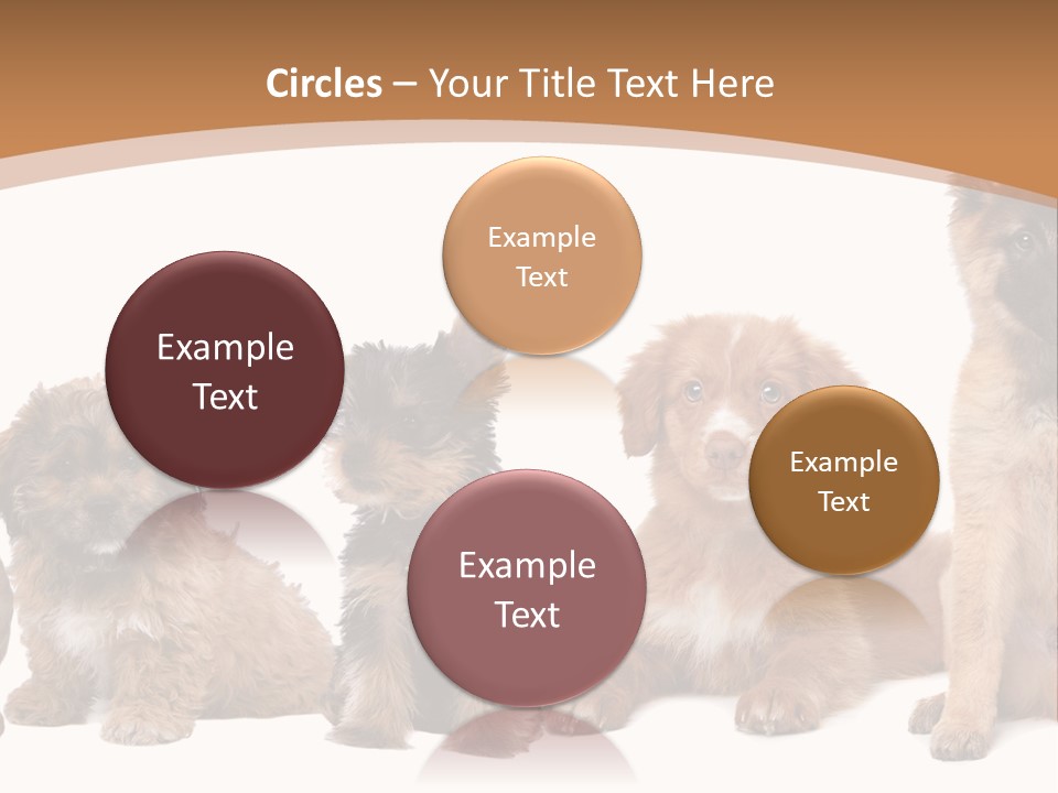 Group Of Puppies PowerPoint Template