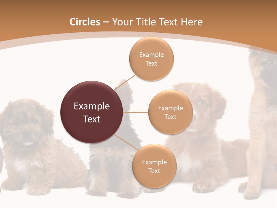 Group Of Puppies PowerPoint Template