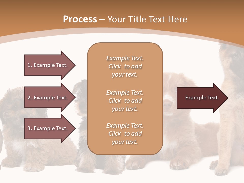 Group Of Puppies PowerPoint Template