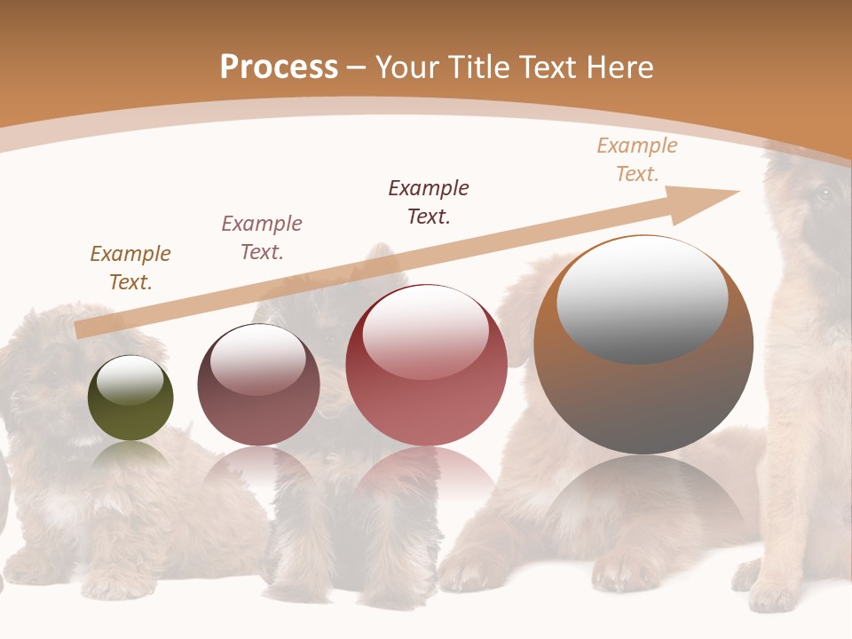 Group Of Puppies PowerPoint Template