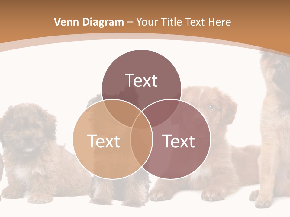 Group Of Puppies PowerPoint Template