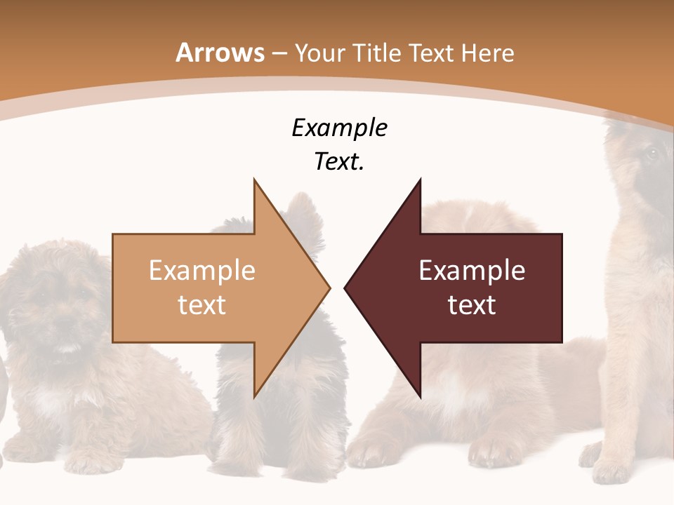 Group Of Puppies PowerPoint Template