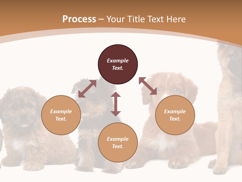 Group Of Puppies PowerPoint Template