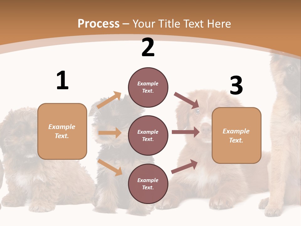 Group Of Puppies PowerPoint Template