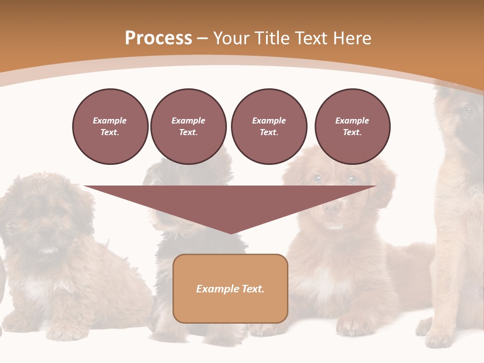 Group Of Puppies PowerPoint Template
