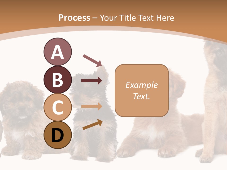 Group Of Puppies PowerPoint Template