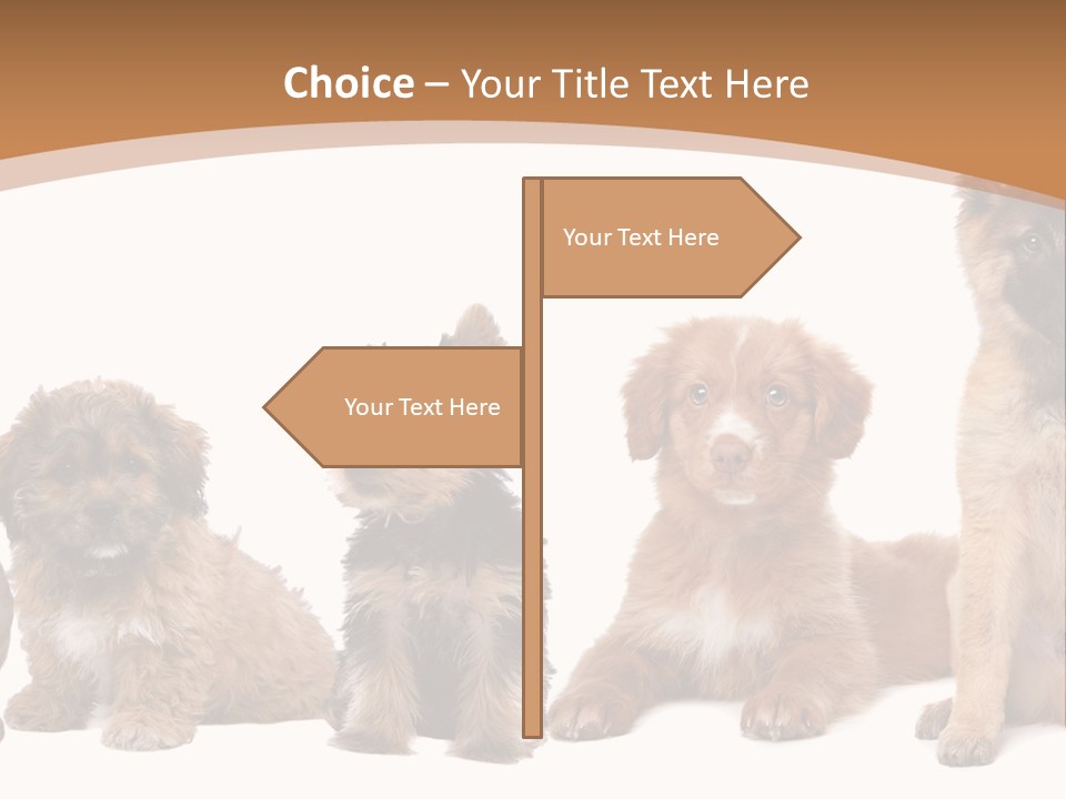 Group Of Puppies PowerPoint Template