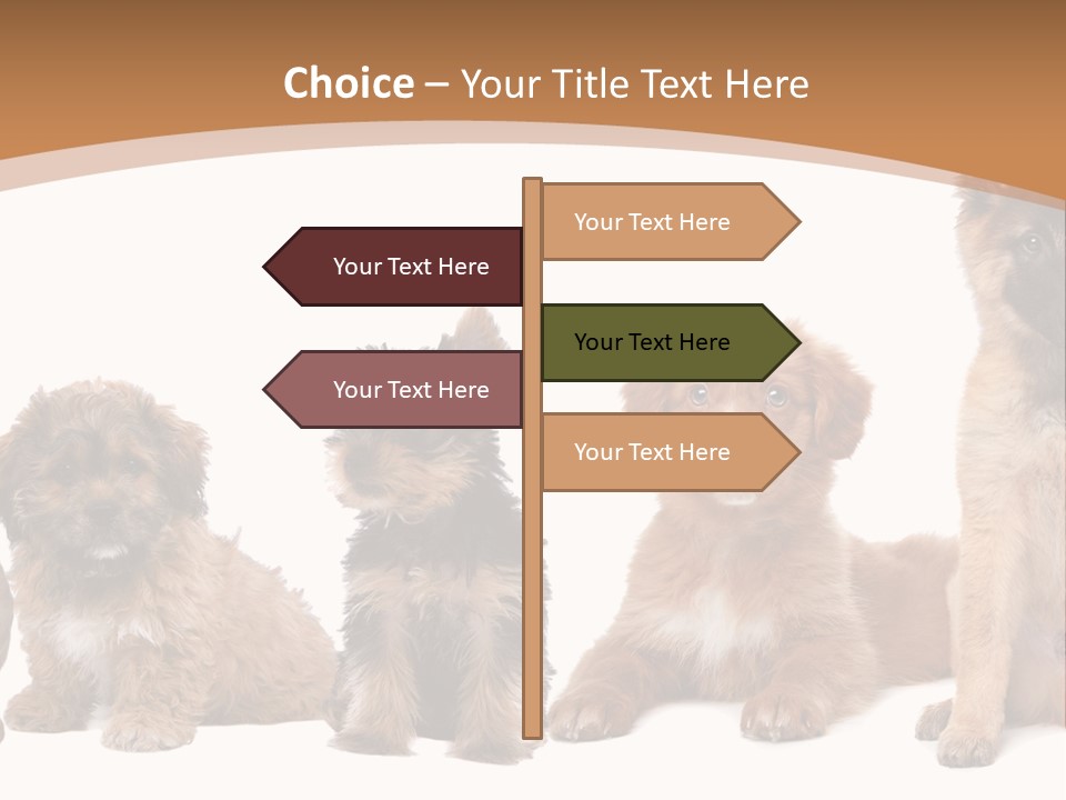 Group Of Puppies PowerPoint Template