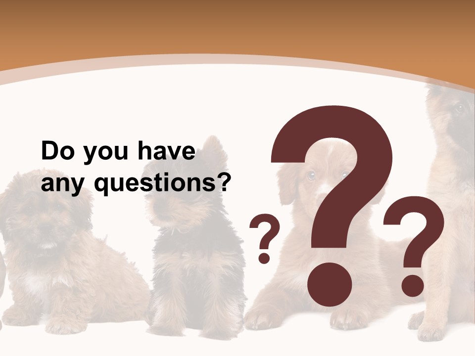 Group Of Puppies PowerPoint Template