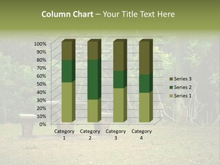 Luxury Home Garden PowerPoint Template