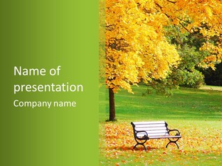 Sunny Autumn PowerPoint Template