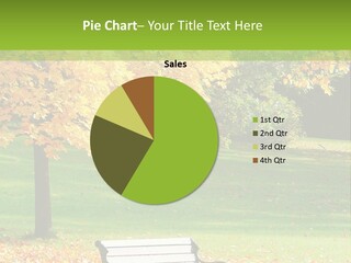 Sunny Autumn PowerPoint Template