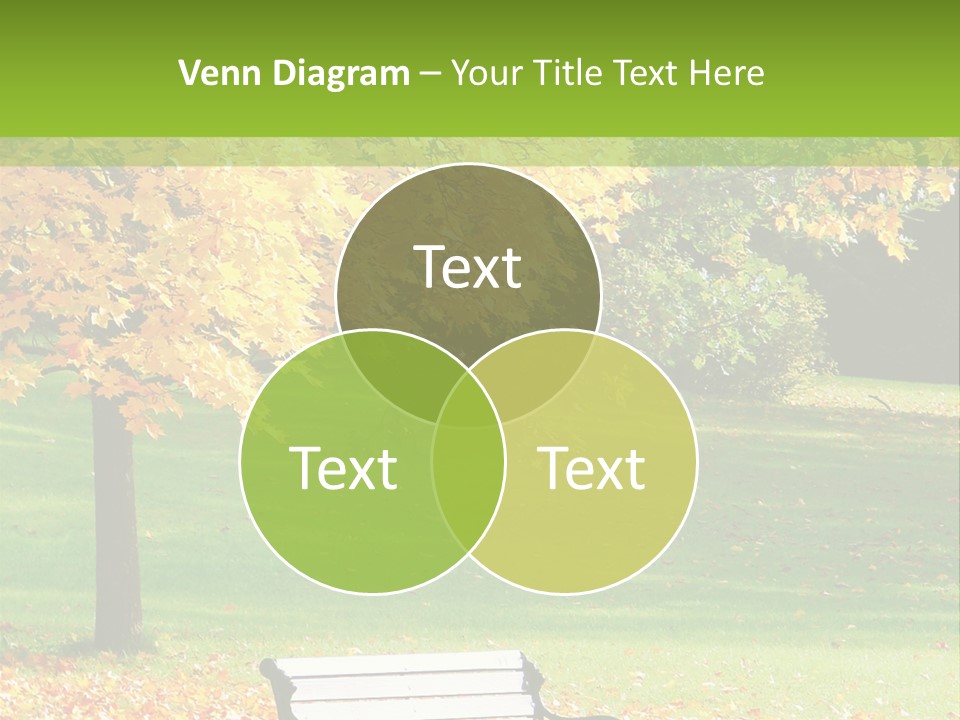 Sunny Autumn PowerPoint Template