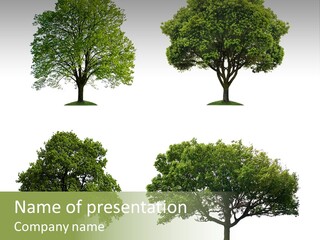 Isolated Tree PowerPoint Template