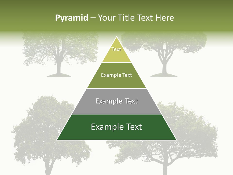 Isolated Tree PowerPoint Template