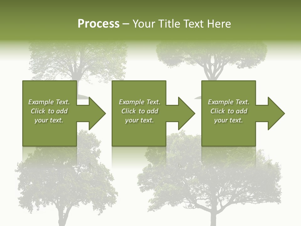 Isolated Tree PowerPoint Template