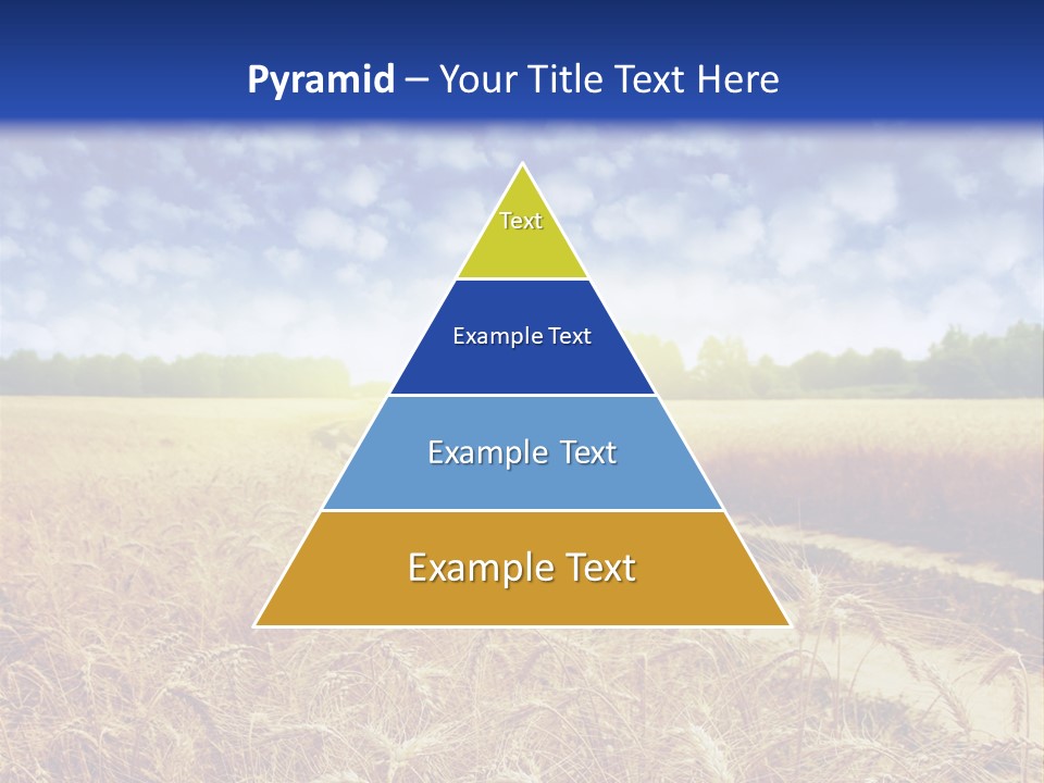 Wheat Field PowerPoint Template