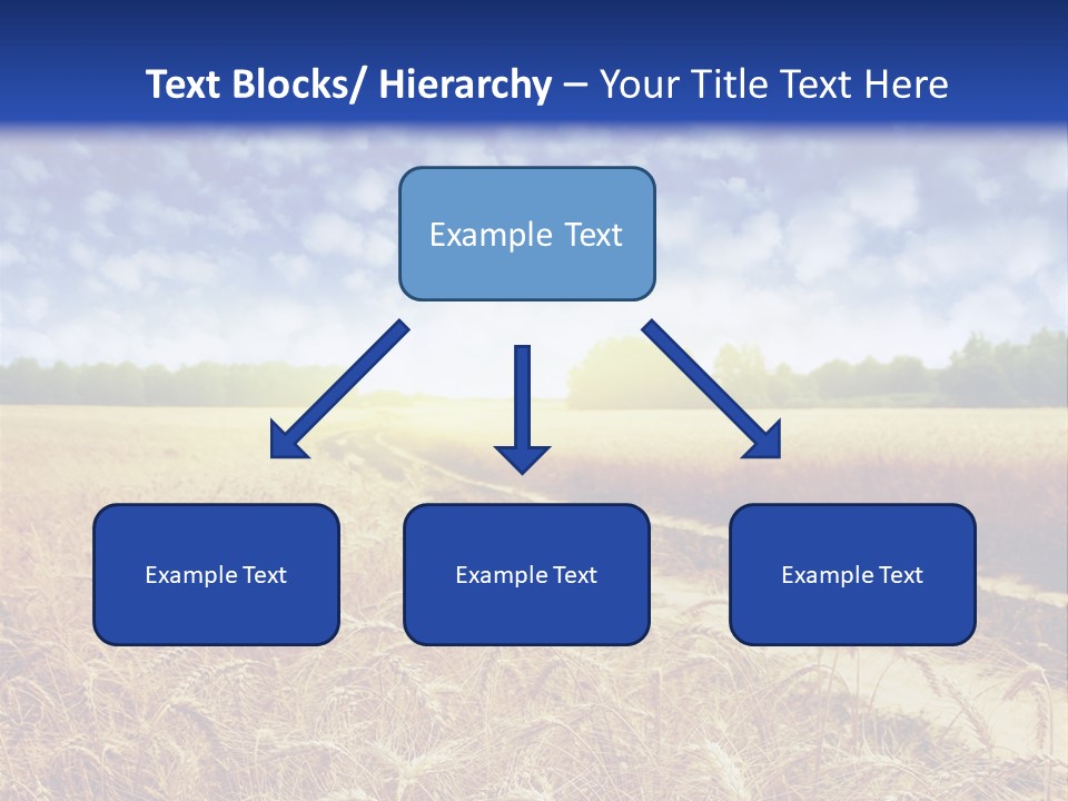 Wheat Field PowerPoint Template