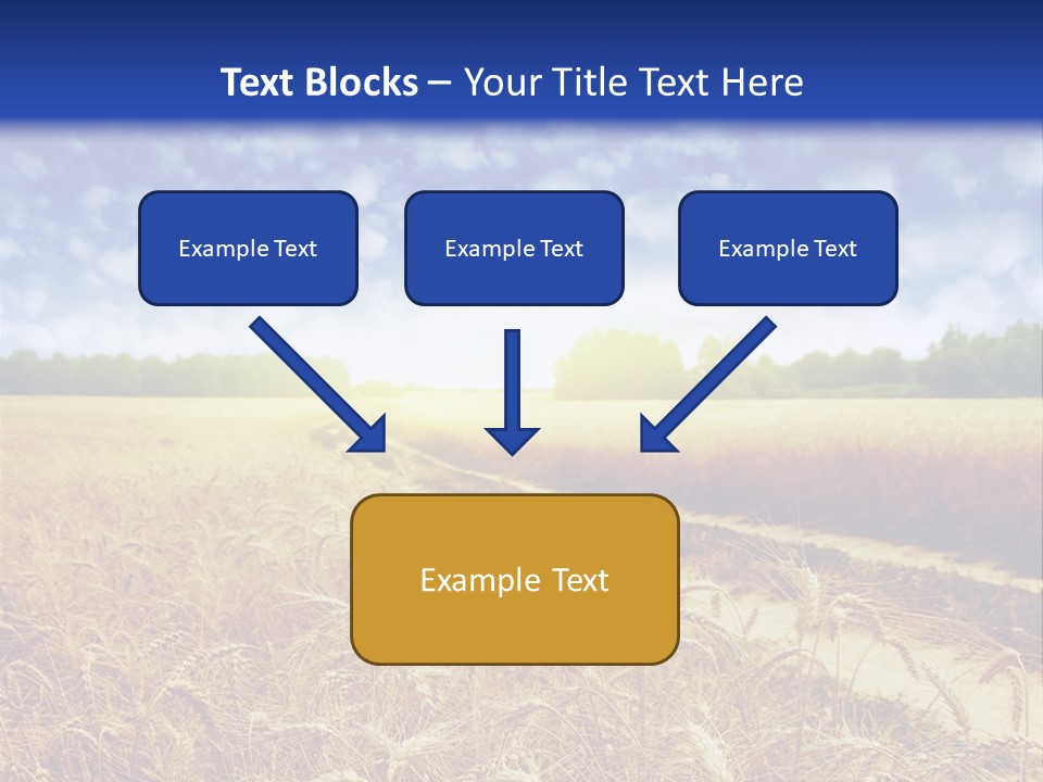 Wheat Field PowerPoint Template