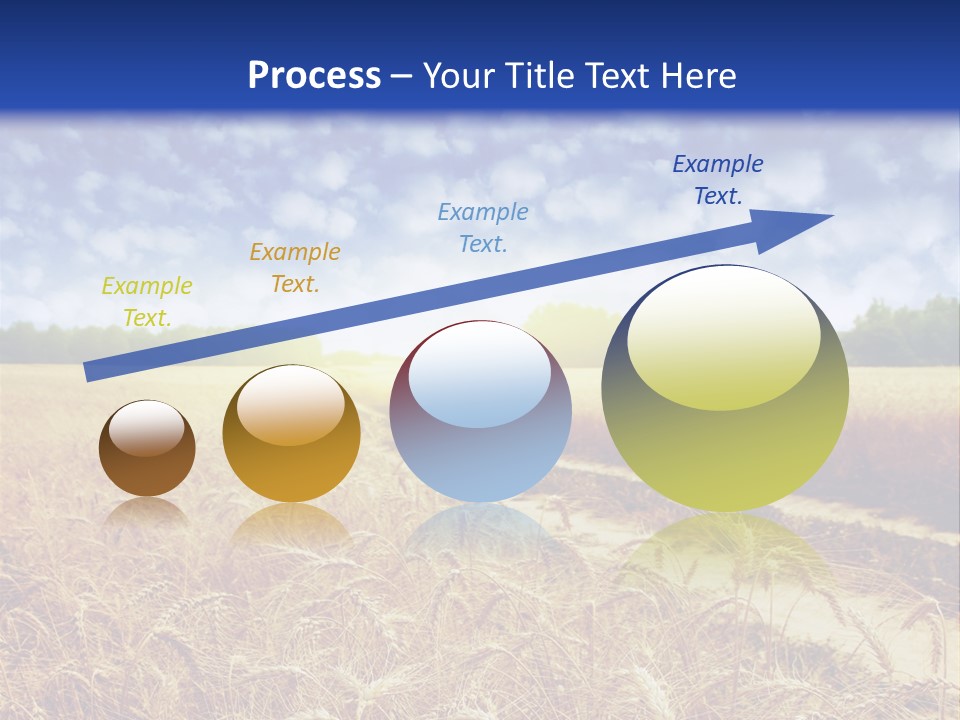 Wheat Field PowerPoint Template